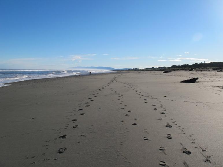 Shining Star Beachfront 4* Hokitika